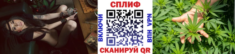 Купить  Старая Купавна  Канабис семена 